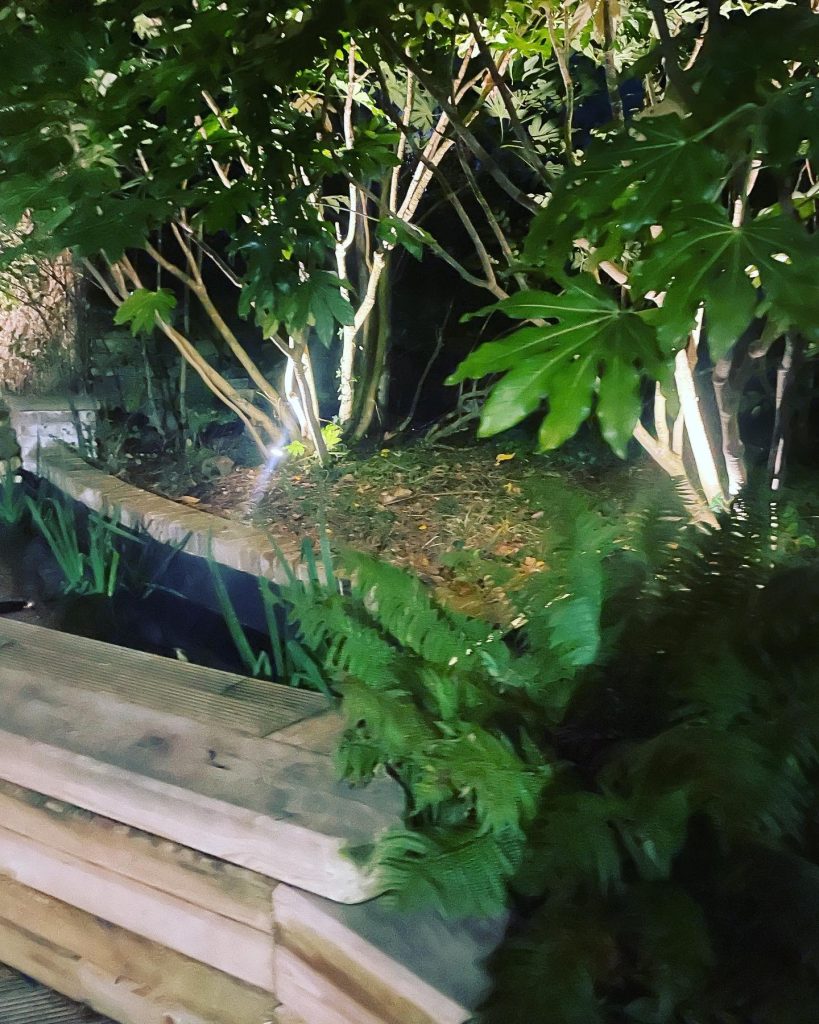 WhatsApp Image 2024-05-07 at 18.45.34 (2)