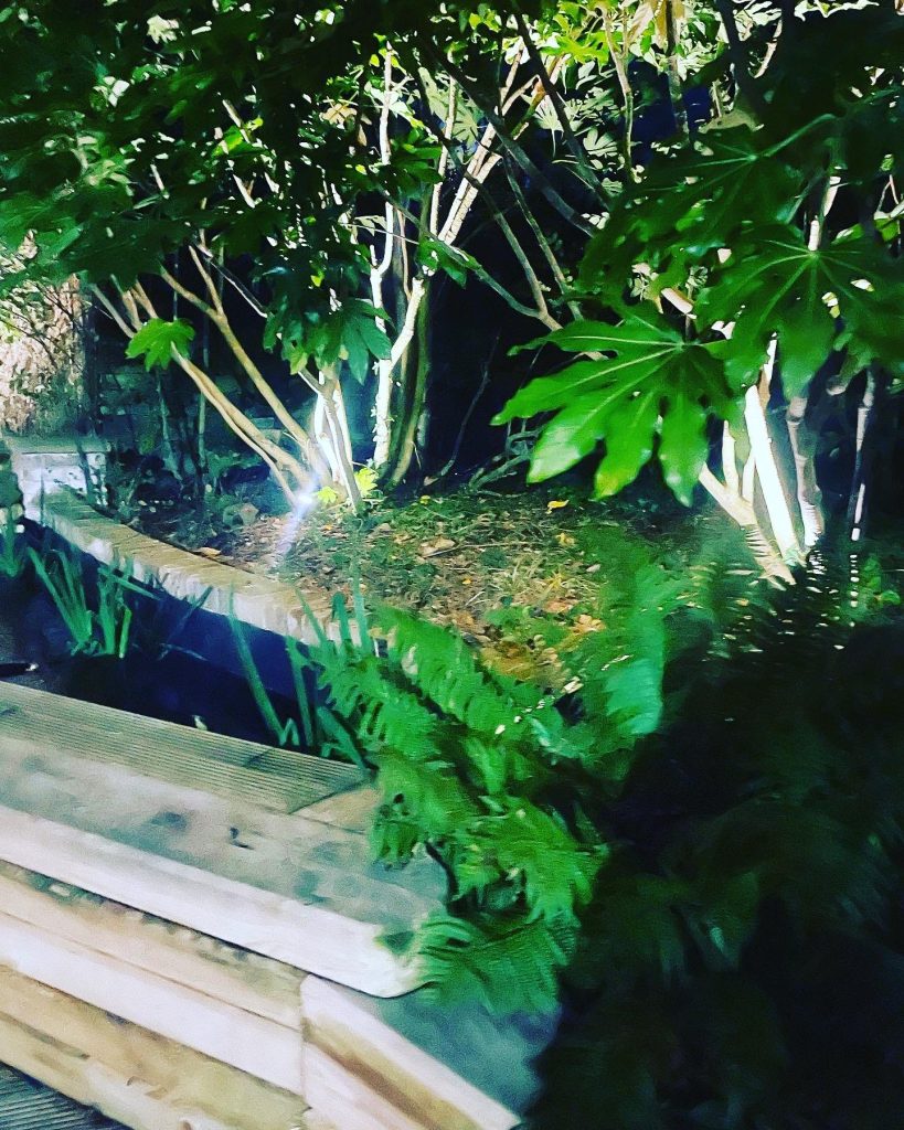 WhatsApp Image 2024-05-07 at 18.45.34 (6)